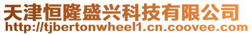 天津恒隆盛興科技有限公司