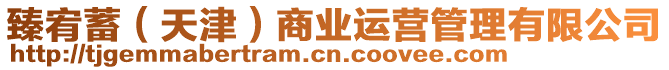 臻宥蓄(天津)商業運營管理有限公司