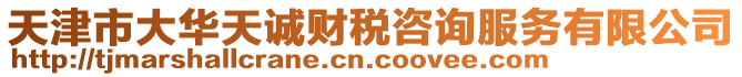 天津市大華天誠財稅咨詢服務有限公司