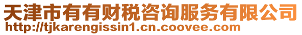 天津市有有財稅咨詢服務有限公司