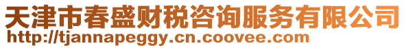 天津市春盛財稅咨詢服務有限公司