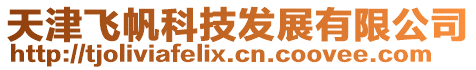 天津飛帆科技發展有限公司