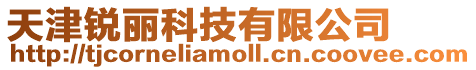 天津銳麗科技有限公司