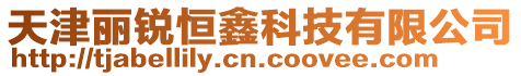 天津麗銳恒鑫科技有限公司