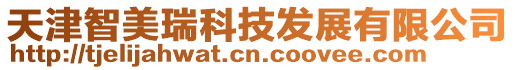 天津智美瑞科技發(fā)展有限公司