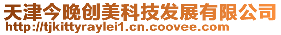天津今晚創美科技發展有限公司