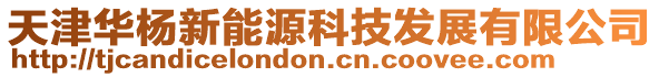 天津華楊新能源科技發展有限公司