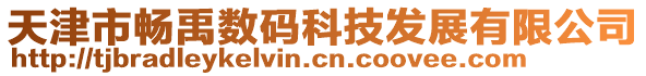 天津市暢禹數(shù)碼科技發(fā)展有限公司