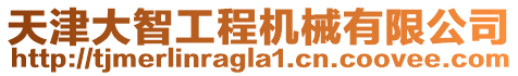 天津大智工程機械有限公司