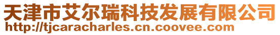 天津市艾爾瑞科技發展有限公司