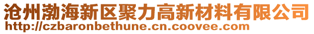 滄州渤海新區(qū)聚力高新材料有限公司