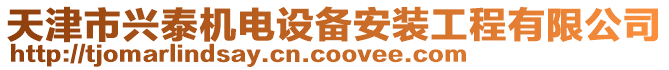 天津市興泰機電設備安裝工程有限公司