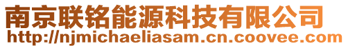 南京聯(lián)銘能源科技有限公司