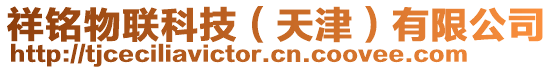 祥銘物聯(lián)科技（天津）有限公司