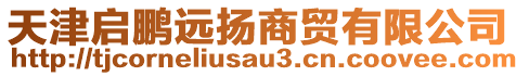 天津啟鵬遠揚商貿有限公司