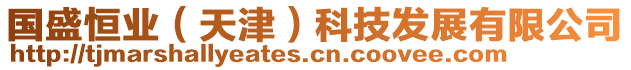 國盛恒業(yè)(天津)科技發(fā)展有限公司