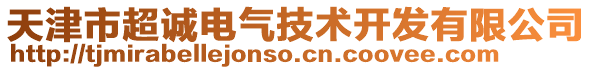 天津市超誠(chéng)電氣技術(shù)開(kāi)發(fā)有限公司