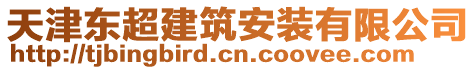 天津東超建筑安裝有限公司