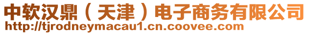 中軟漢鼎（天津）電子商務(wù)有限公司