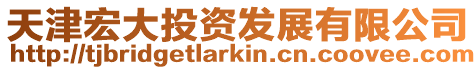 天津宏大投資發展有限公司