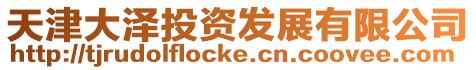 天津大澤投資發(fā)展有限公司