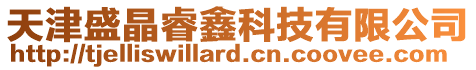 天津盛晶睿鑫科技有限公司
