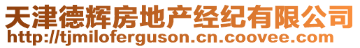 天津德輝房地產經紀有限公司