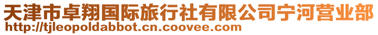 天津市卓翔國際旅行社有限公司寧河營業部