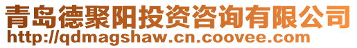 青島德聚陽投資咨詢有限公司