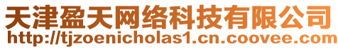 天津盈天網絡科技有限公司