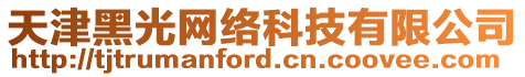 天津黑光網絡科技有限公司