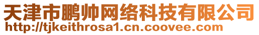 天津市鵬帥網(wǎng)絡(luò)科技有限公司