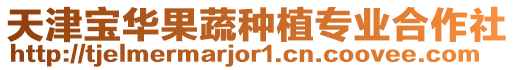 天津寶華果蔬種植專業合作社