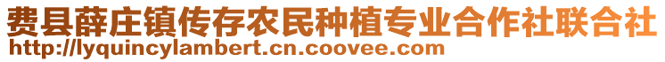 費(fèi)縣薛莊鎮(zhèn)傳存農(nóng)民種植專業(yè)合作社聯(lián)合社