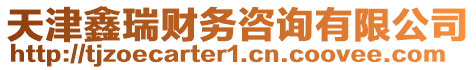 天津鑫瑞財(cái)務(wù)咨詢有限公司
