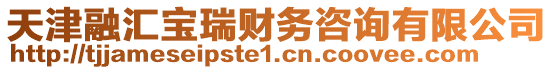 天津融匯寶瑞財務咨詢有限公司