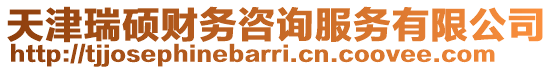 天津瑞碩財務咨詢服務有限公司