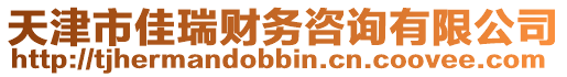 天津市佳瑞財(cái)務(wù)咨詢有限公司