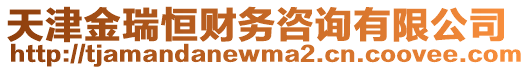 天津金瑞恒財務咨詢有限公司