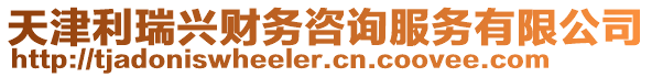 天津利瑞興財務咨詢服務有限公司