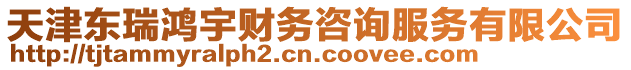 天津東瑞鴻宇財務(wù)咨詢服務(wù)有限公司
