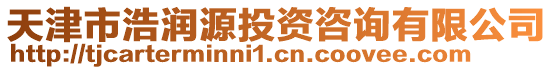 天津市浩潤源投資咨詢有限公司