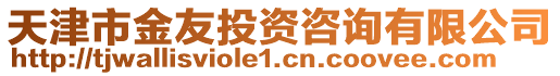 天津市金友投資咨詢有限公司