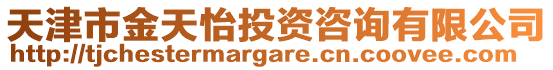 天津市金天怡投資咨詢有限公司