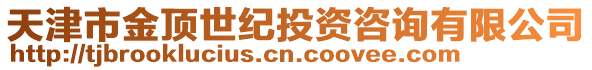 天津市金頂世紀投資咨詢有限公司