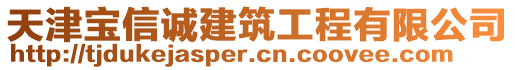 天津?qū)毿耪\(chéng)建筑工程有限公司