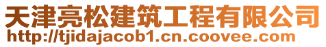 天津亮松建筑工程有限公司