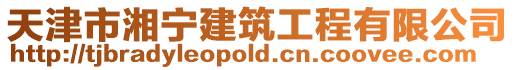 天津市湘寧建筑工程有限公司