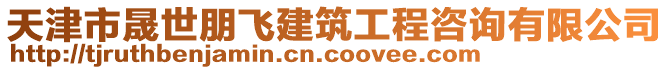 天津市晟世朋飛建筑工程咨詢有限公司