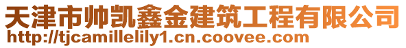 天津市帥凱鑫金建筑工程有限公司